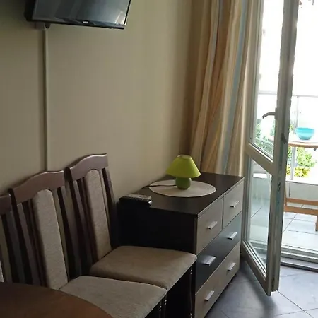Apartament 41 *